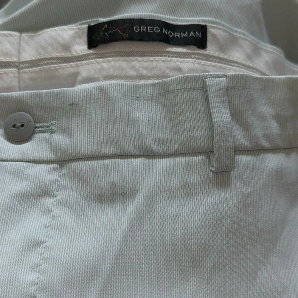 Greg‎ Norman Collection Sz 36 Color mint green flat front men’s shorts